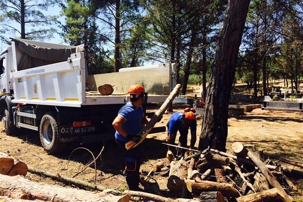 Muğla Büyükşehir Belediyesi, il genelindeki mezarlık alanlarında bakım, onarım, temizlik