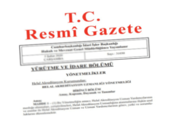 Bütünleşik Kamu Mali Yönetim Bilişim Sistemi Uygulama Usul ve Esasları