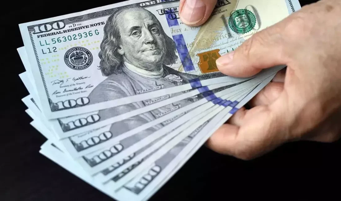 Piyasada sahte dolar paniği yaşanırken TÜYEMDER Başkanı Mehti Şeren canlı
