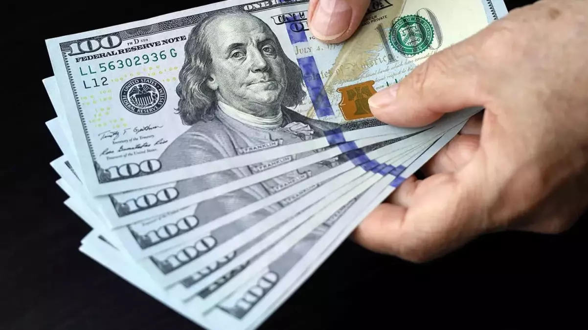 Piyasada sahte dolar paniği yaşanırken TÜYEMDER Başkanı Mehti Şeren canlı