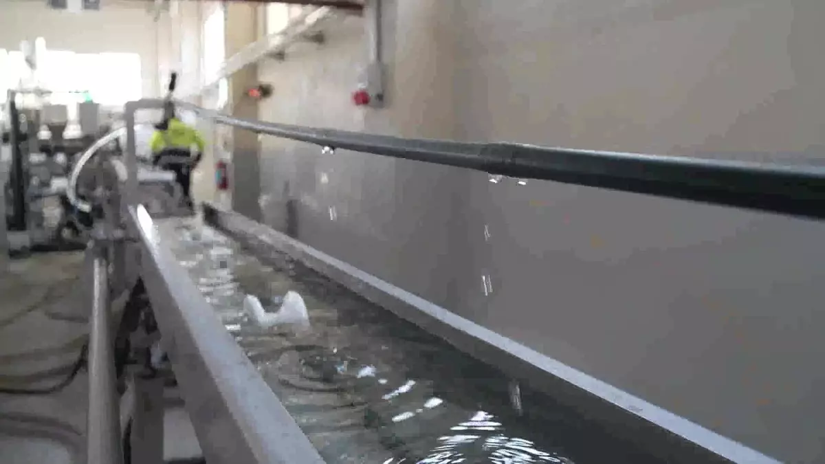 Bursa'da açılan yeni Tarım Plast Fabrikası, tarım sektörüne yenilikçi çözümler