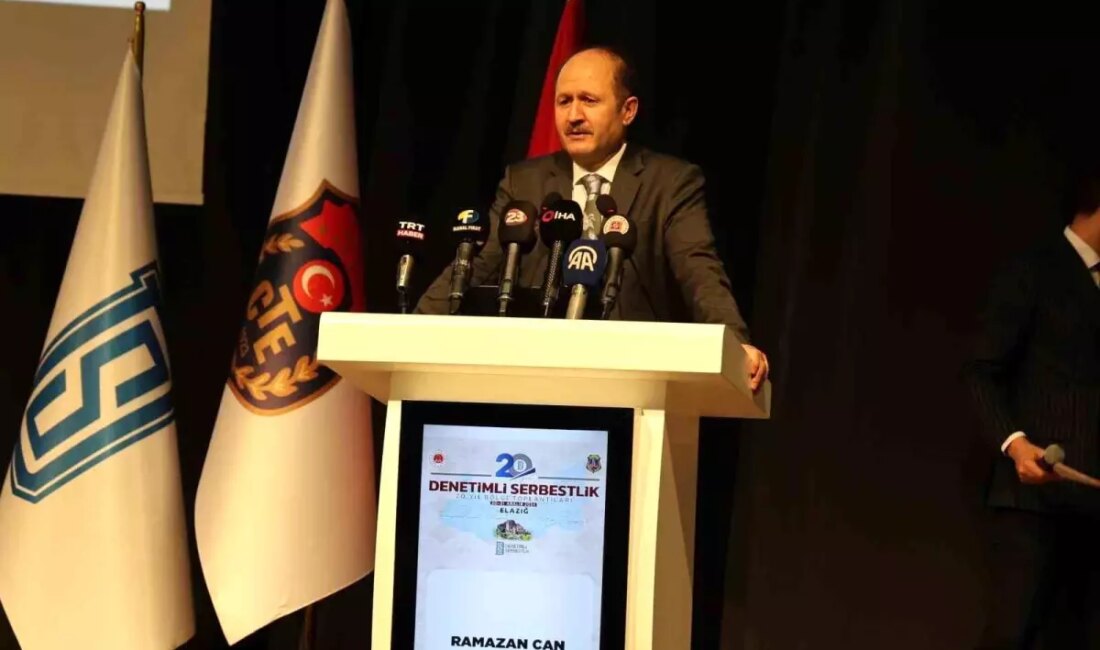 Ceza infaz sisteminde cezaların etkisi ve denetimli serbestliğin rolü üzerine