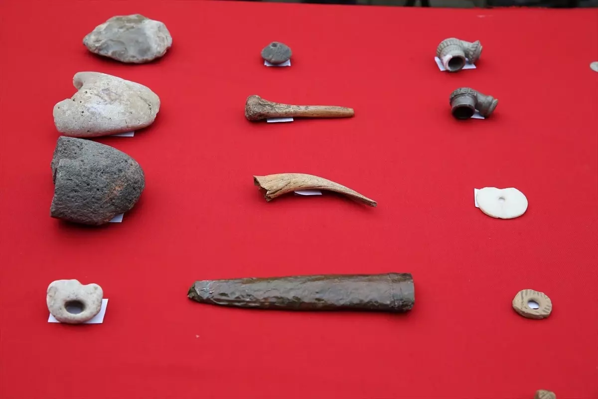 Diyarbakır Amida Höyük kazıları, tarih öncesi dönemlerin sırlarını gün yüzüne