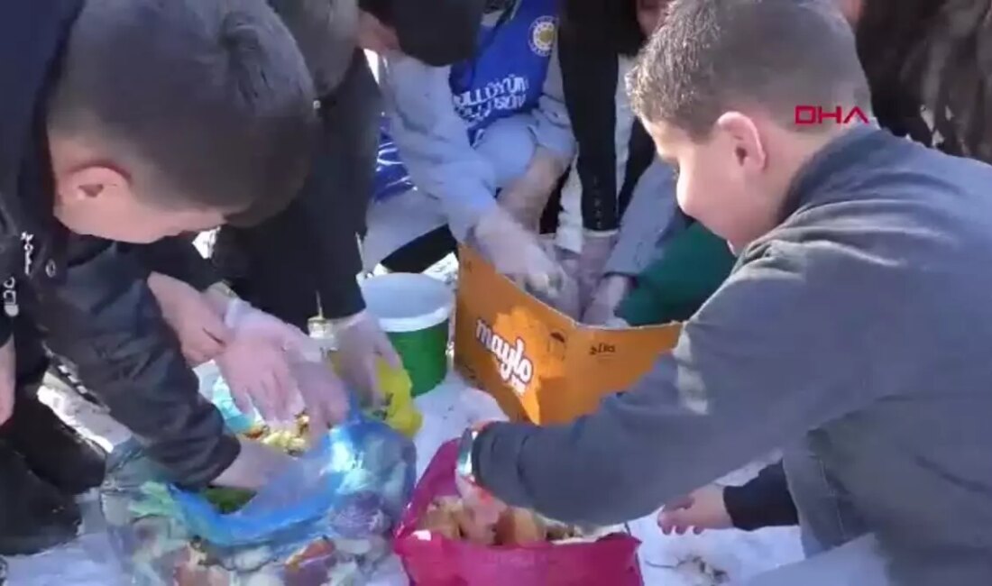 Erciş'te düzenlenen Sokak Hayvanlarına Destek Etkinliği, hayvan dostlarımız için farkındalık