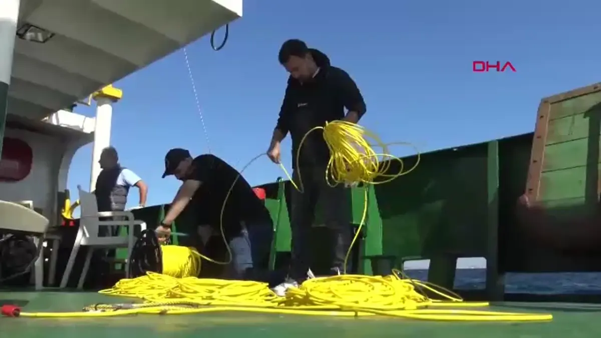 Marmara Denizi'nde yaşanan müsilaj sorunu, deniz ekosistemini tehdit ediyor. Bu