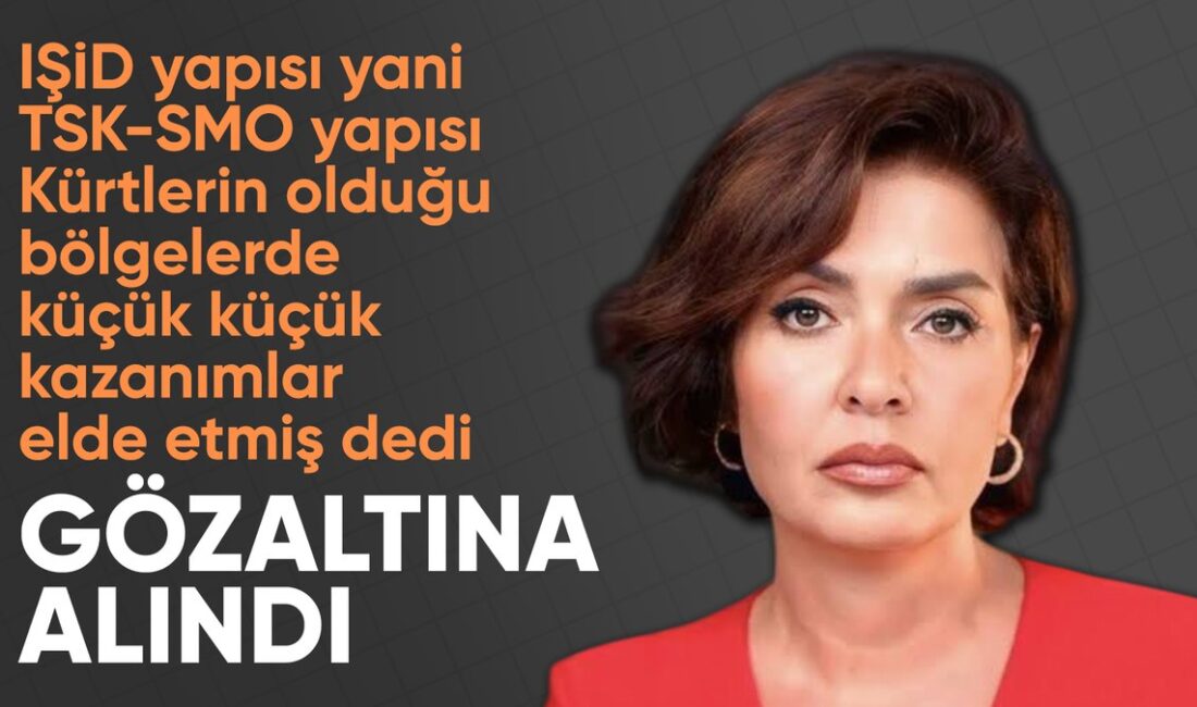 Gazeteci Özlem Gürses, Türk Silahlı Kuvvetleri hakkında kullandığı sözler dolayısıyla