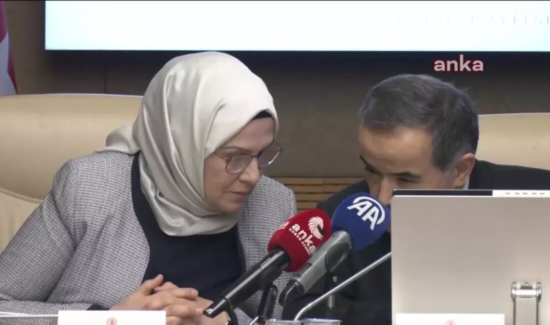 TBMM'de gerçekleşen Çocuğa Karşı Şiddet ve İstismar Araştırma Komisyonu toplantısında,