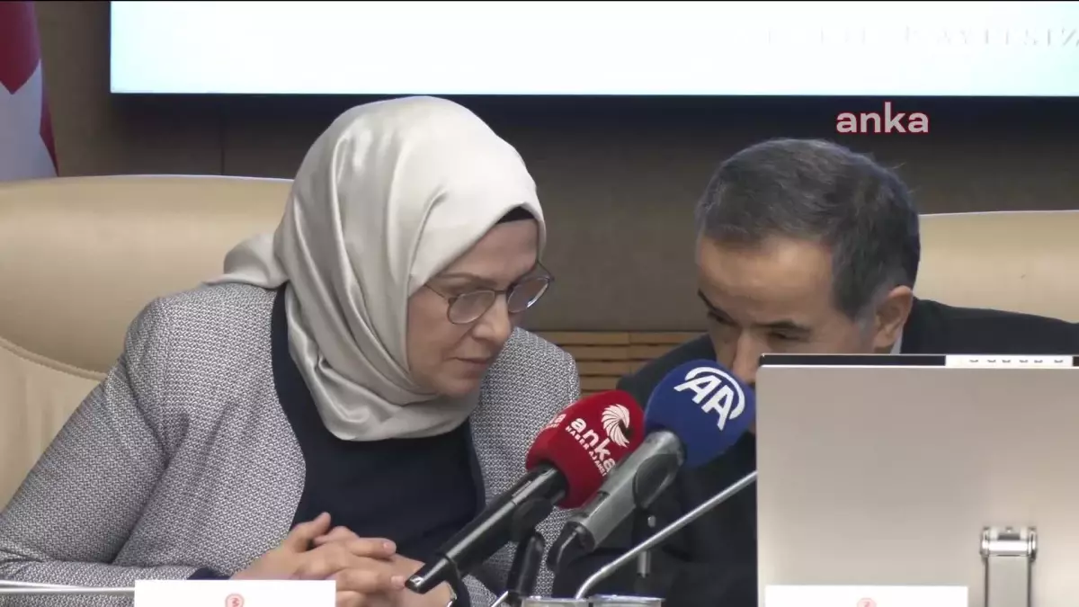 TBMM'de gerçekleşen Çocuğa Karşı Şiddet ve İstismar Araştırma Komisyonu toplantısında,
