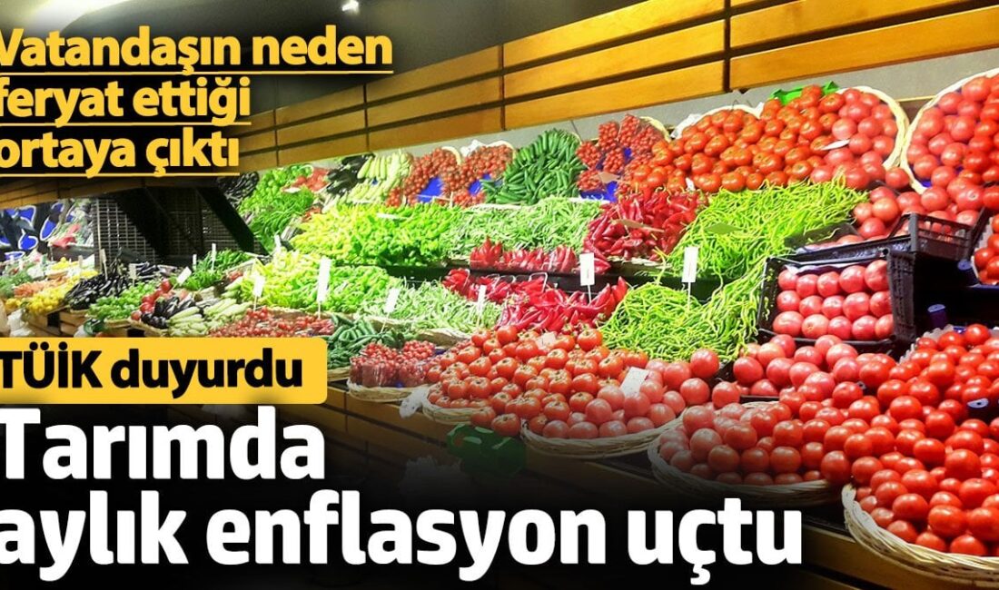 Türkiye İstatistik Kurumu, tarımdaki enflasyon rakamlarını açıkladı. Aylık bazdaki artış,