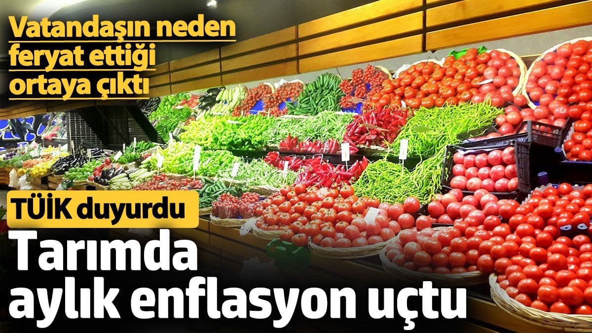Türkiye İstatistik Kurumu, tarımdaki enflasyon rakamlarını açıkladı. Aylık bazdaki artış,