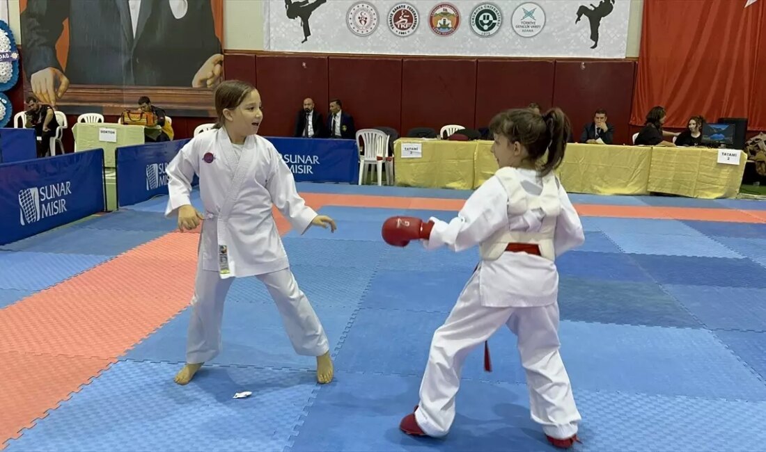 5 Ocak Uluslararası Karate Kurtuluş Kupası, Adana'da karate tutkunlarını bir