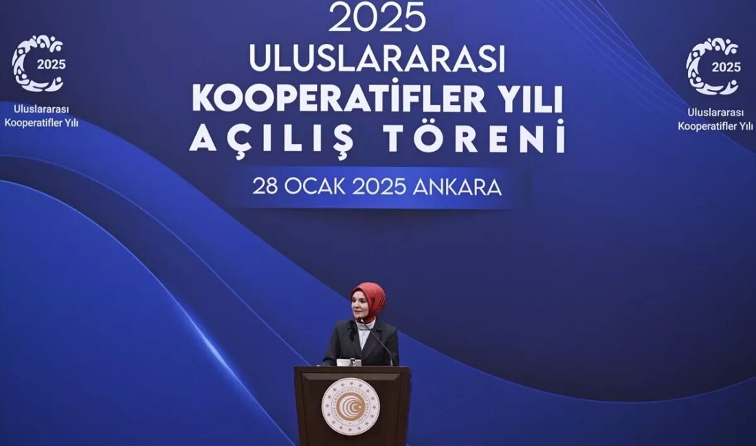 Aile ve Sosyal Hizmetler Bakanı Mahinur Özdemir Göktaş, 2025 Uluslararası