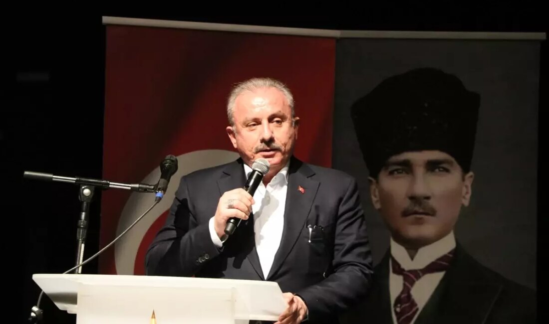 AK Parti Tekirdağ Kadın Kolları 7. Olağan Kongresi, kadınların siyasi
