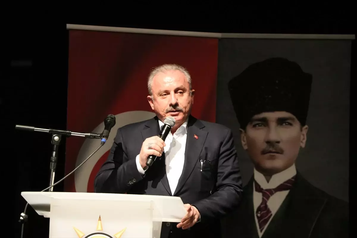 AK Parti Tekirdağ Kadın Kolları 7. Olağan Kongresi, kadınların siyasi