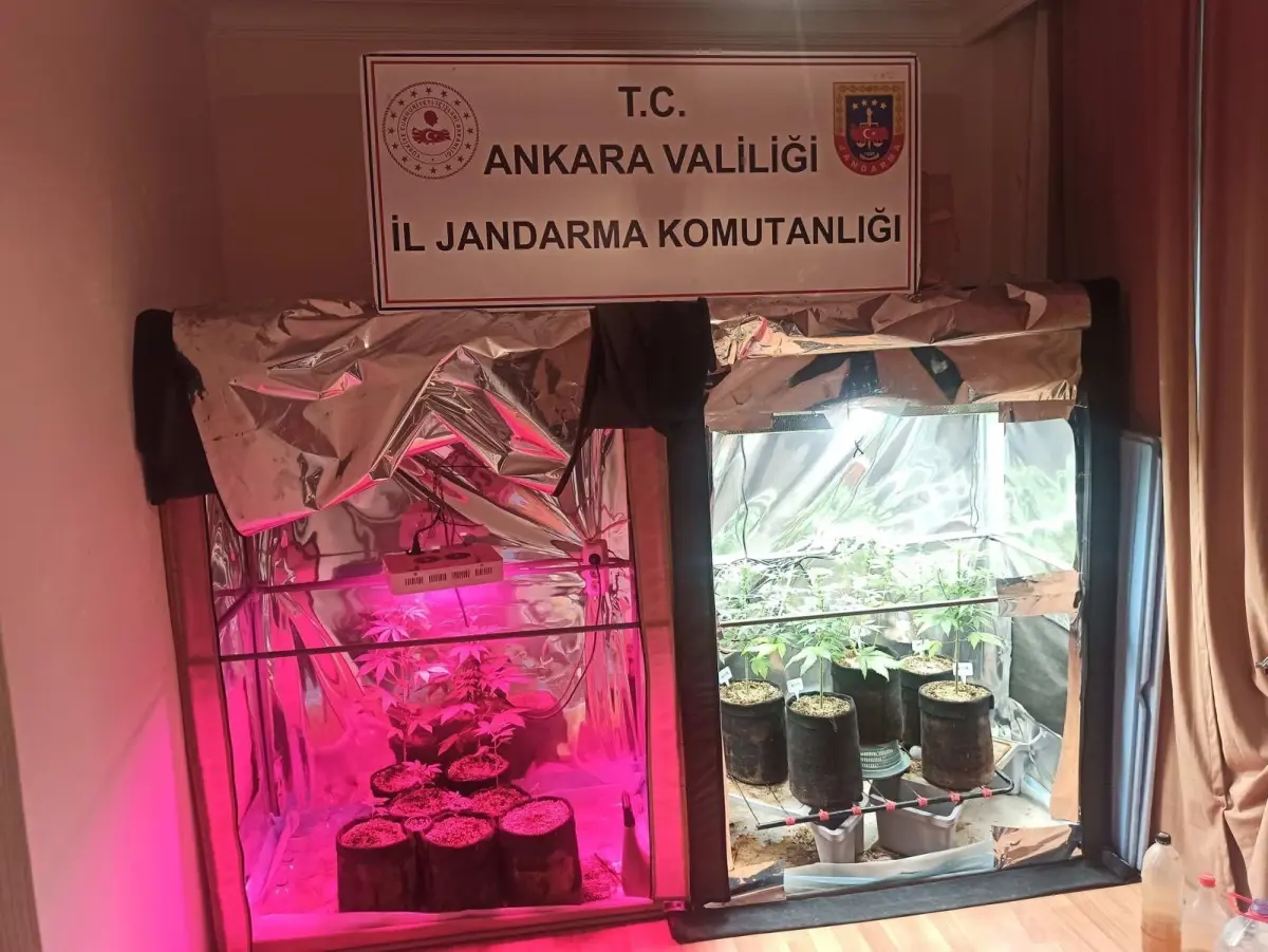 Ankara'da gerçekleştirilen uyuşturucu operasyonunda iki şüpheli gözaltına alındı. Olayla ilgili