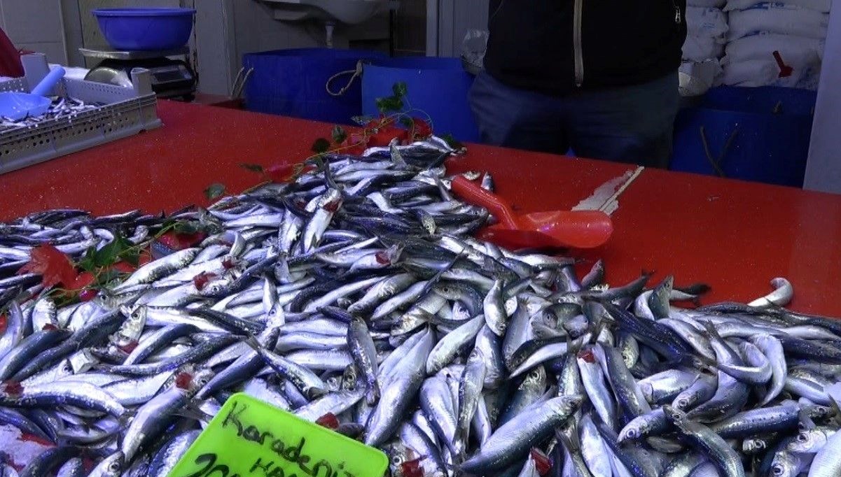 Balık Pazarında sezon coşkusu, taze balık çeşitleri ve deniz lezzetleri