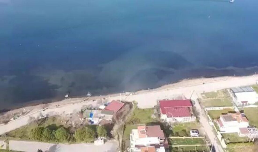 Balıkesir'de denizdeki kirlilik sorunu, çevre ve sağlık açısından büyük tehditler