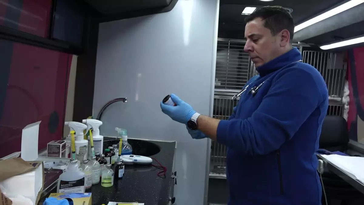 Balıkesir'de sokak hayvanlarına yönelik 'Can Dost' mobil bakım hizmeti, hayvanların