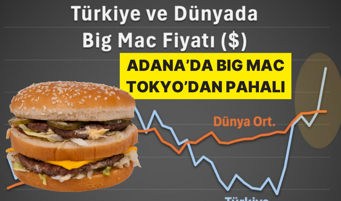 Big Mac Endeksi, Türkiye'nin gıda enflasyonunu anlamak için önemli bir