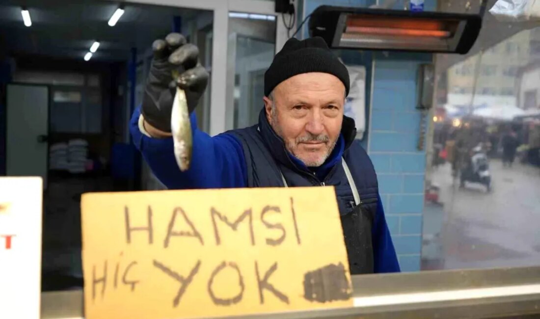 Bolu'da hamsi yokluğu, deniz ürünleri fiyatlarını etkiliyor. Hamsinin azalması, diğer