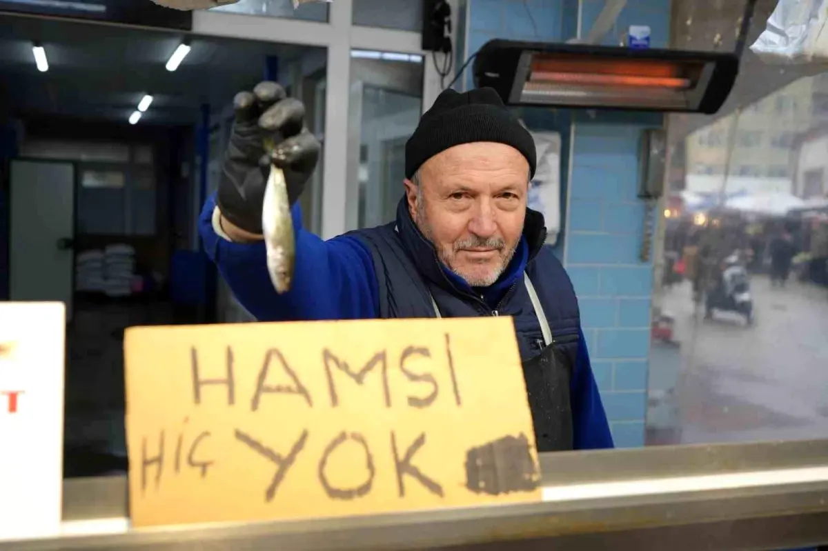 Bolu'da hamsi yokluğu, deniz ürünleri fiyatlarını etkiliyor. Hamsinin azalması, diğer