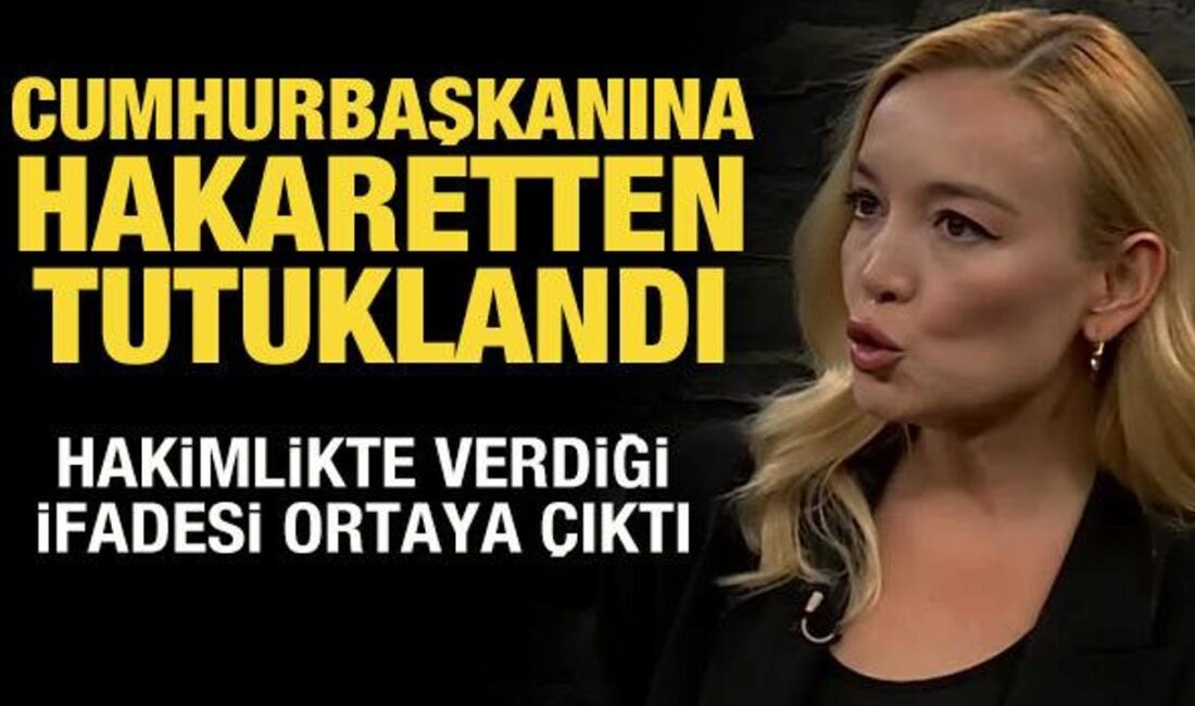 Çiğdem Bayraktar Ör'ün tutuklanma süreci ve ifadesi, olayın arka planı,