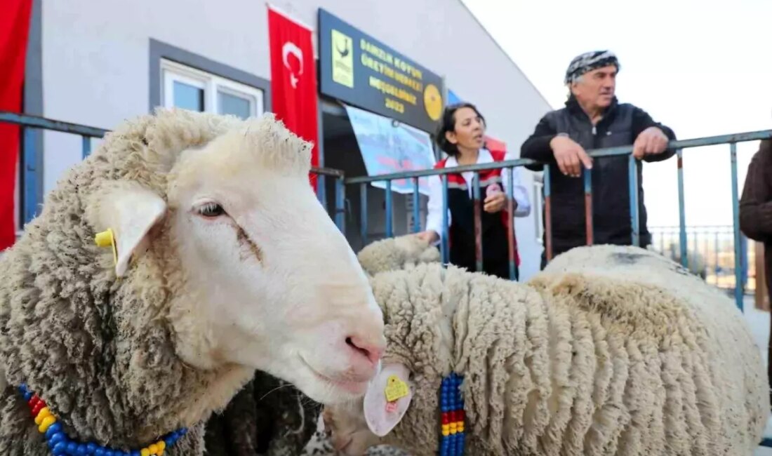 Damızlık Koyun Üretim Merkezi, küçükbaş hayvan üretiminde devrim niteliğinde yenilikler