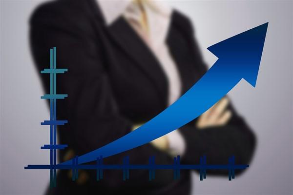 DCT Trading Dış Ticaret A.Ş, TRK Teknoloji Yazılım Arge A.Ş'den