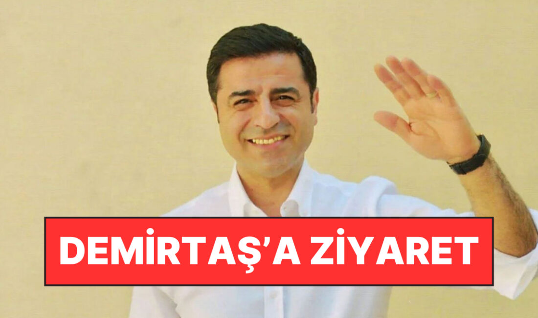 DEM Parti heyet 28 Aralık’ta İmralı’da bulunan Abdullah Öcalan’ı ziyaret
