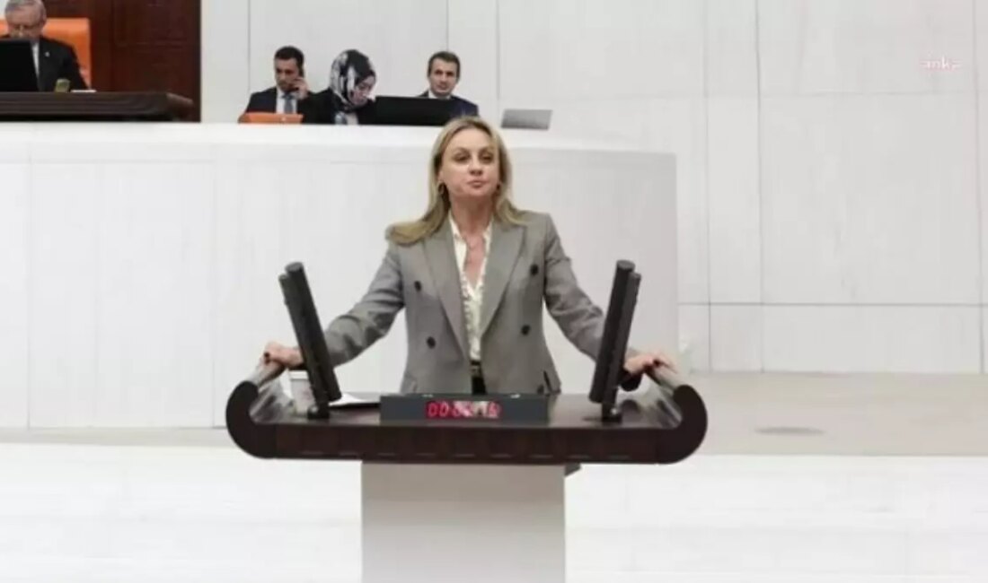 DEVA Partisi İzmir Milletvekili Seda Kaya Ösen, 'Yeni Yol Grubu'