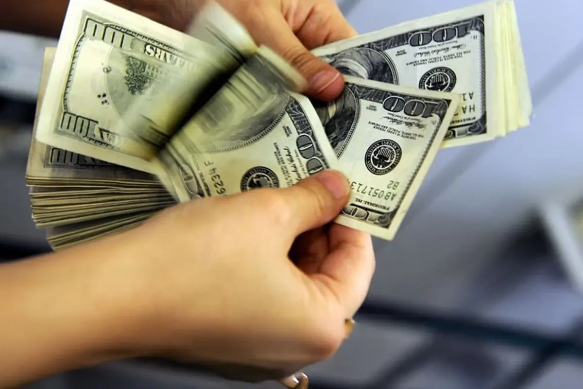 Dolar/TL yükseliş eğilimini ve küresel piyasalardaki karışıklıkları derinlemesine inceliyoruz. Ekonomik