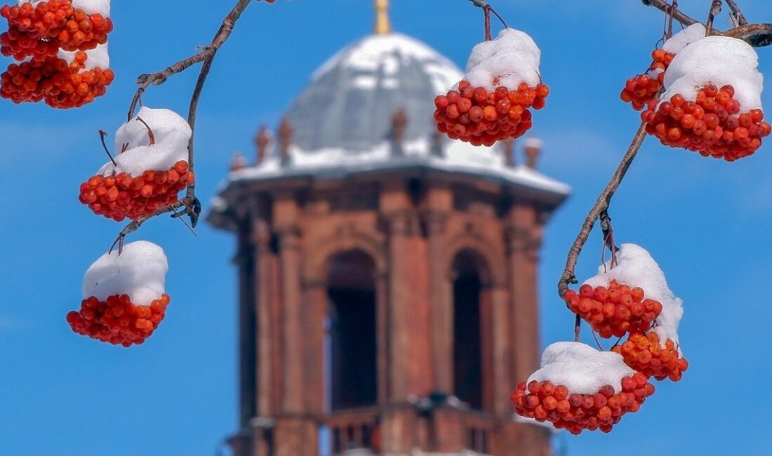 Erzurum'da soğuk hava koşulları ve buzlanma uyarıları hakkında detaylı bilgi