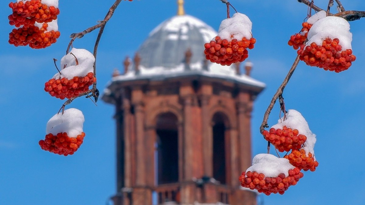 Erzurum'da soğuk hava koşulları ve buzlanma uyarıları hakkında detaylı bilgi