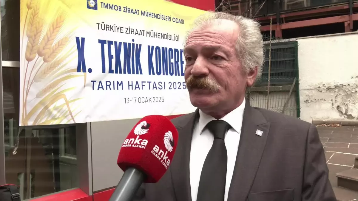 Gıda enflasyonu ve tarım politikalarının güncel durumu üzerine kapsamlı değerlendirmeler.