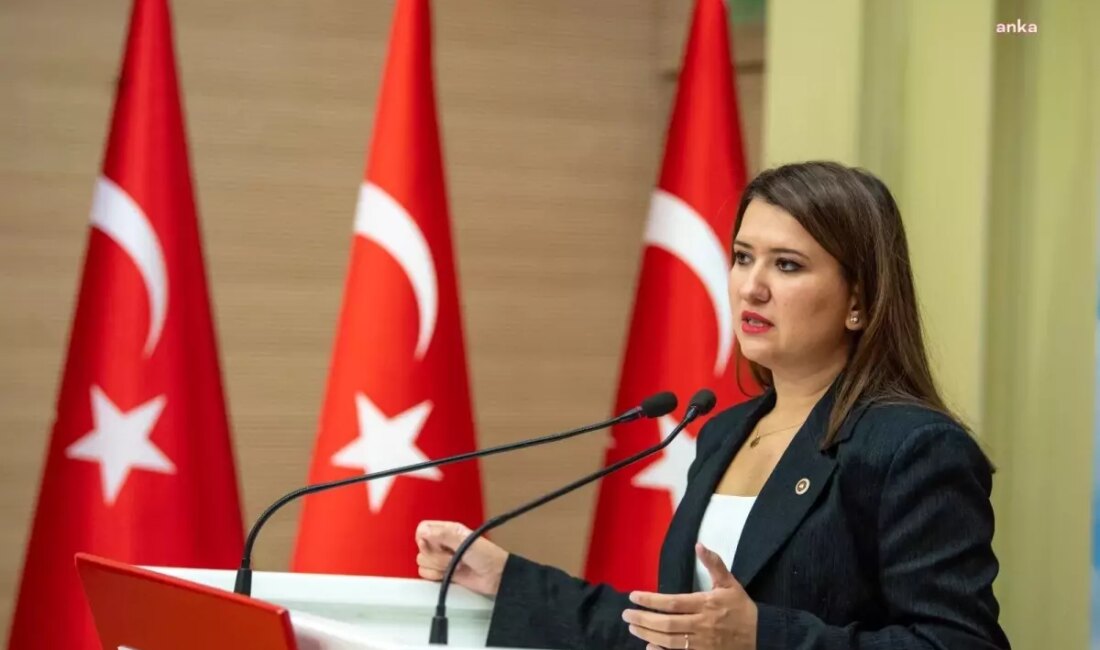 Gökçe Gökçen, Rıza Akpolat'a destek vererek tutuklama kararını korkaklık olarak