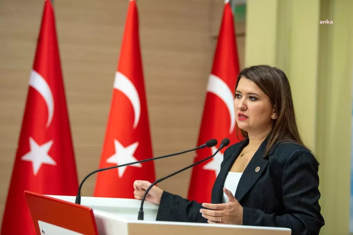 Gökçe Gökçen, Rıza Akpolat'a destek vererek tutuklama kararını korkaklık olarak