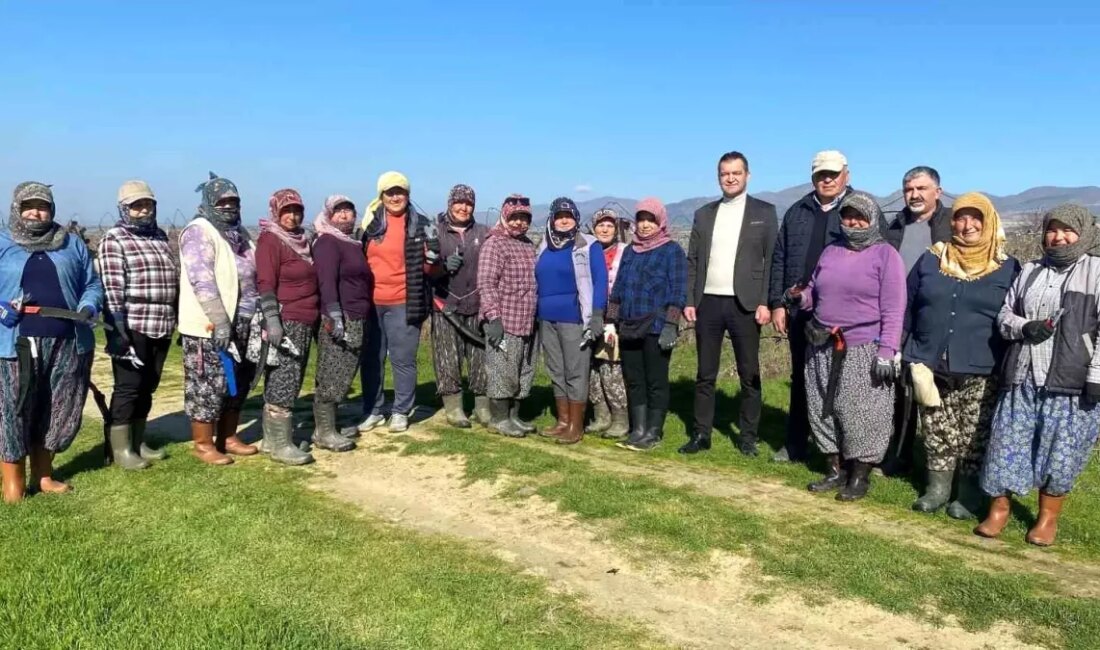 Kadınlar, bağ budama işinde gösterdikleri başarı ile tarım sektöründe önemli