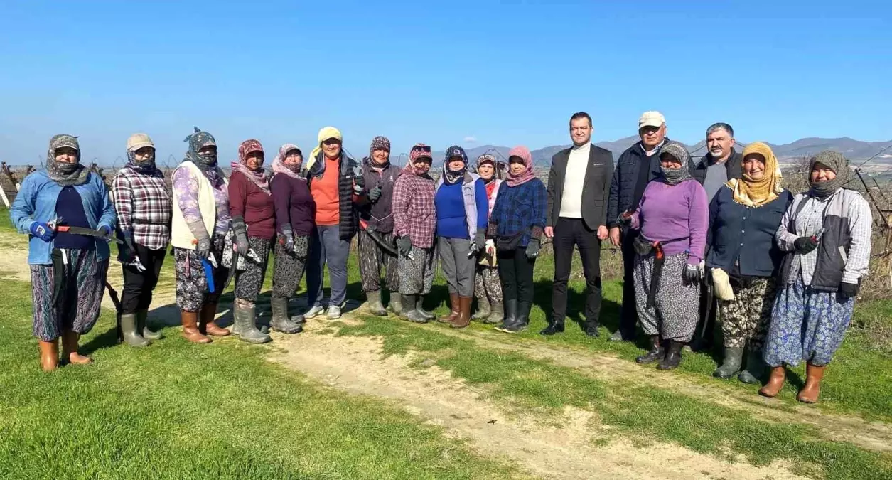 Kadınlar, bağ budama işinde gösterdikleri başarı ile tarım sektöründe önemli