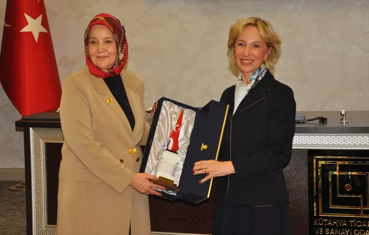 Kadınların ekonomik güçlenmesi için özel politikalar ve projelerin önemi, toplumsal