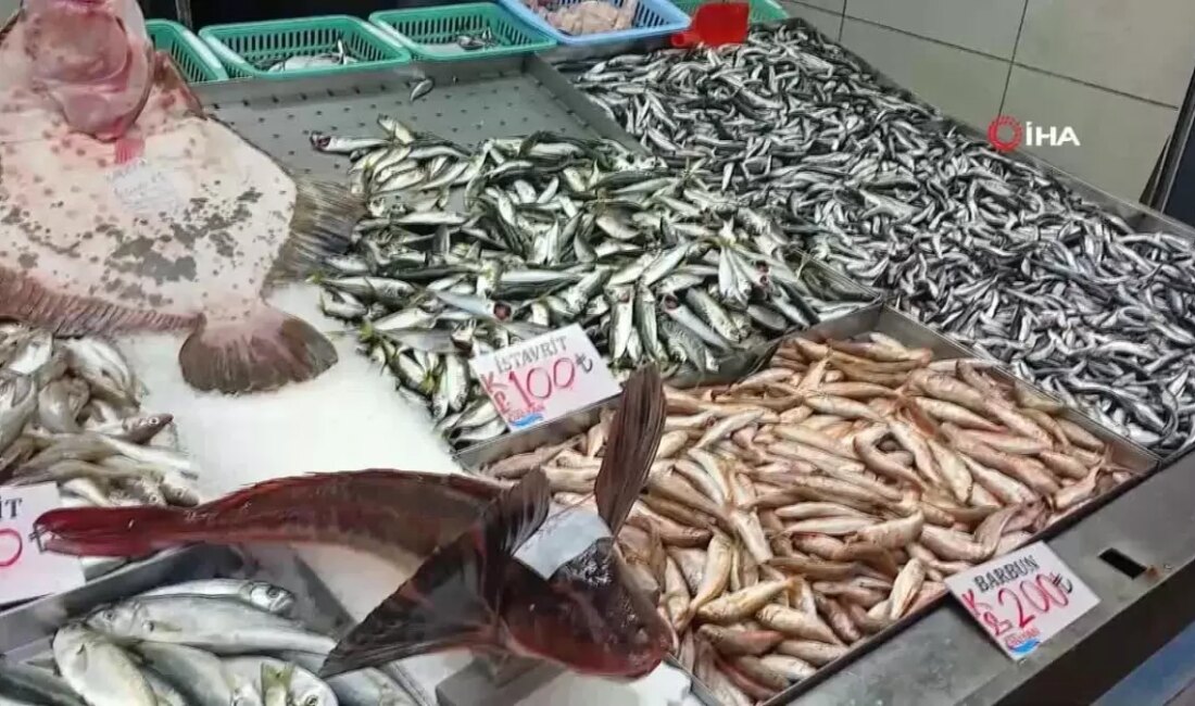Karadeniz'de balık sezonunun zirveye ulaştığı dönemde, kalkan ve kırlangıç balıklarının