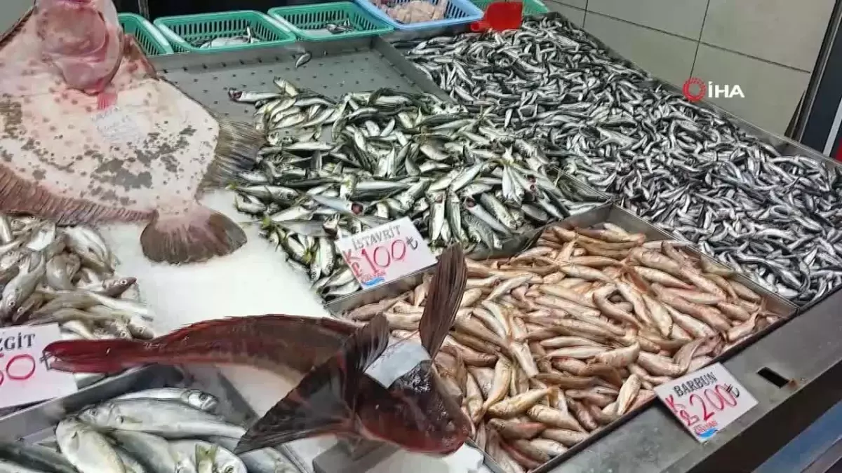 Karadeniz'de balık sezonunun zirveye ulaştığı dönemde, kalkan ve kırlangıç balıklarının