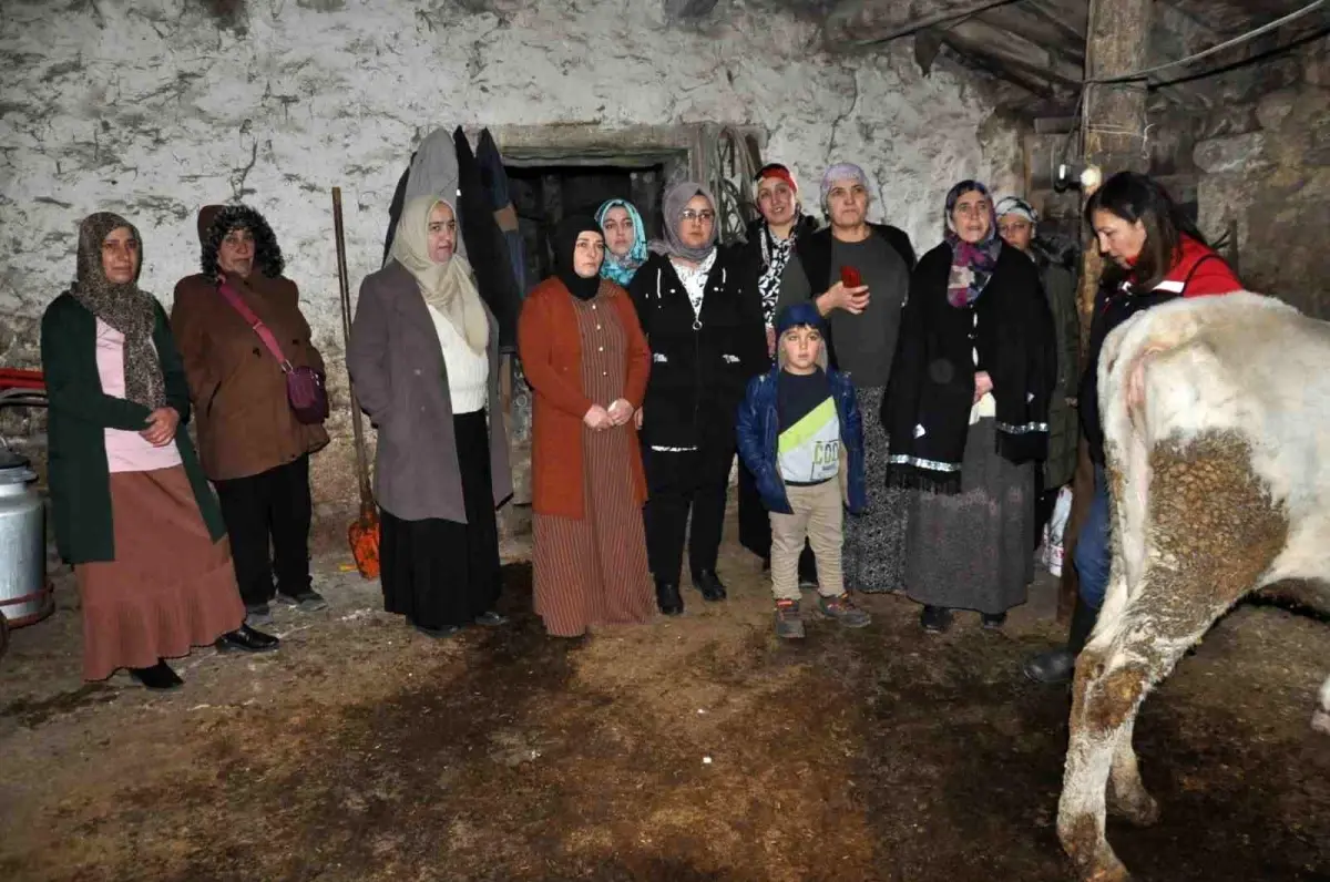 Kars'ta kadın çiftçilere yönelik düzenlenen sağım hijyeni eğitimi, süt kalitesini