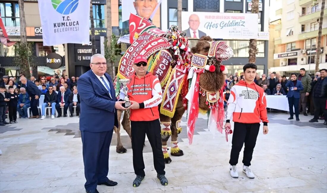 Kumluca'da, geleneksel deve güreşi ve 'En Süslü Deve' yarışmasıyla renkli