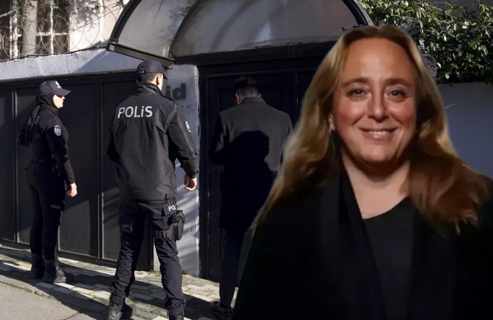 Menajer Ayşe Barım'ın gözaltına alınması, Gezi Parkı soruşturması kapsamında ünlü