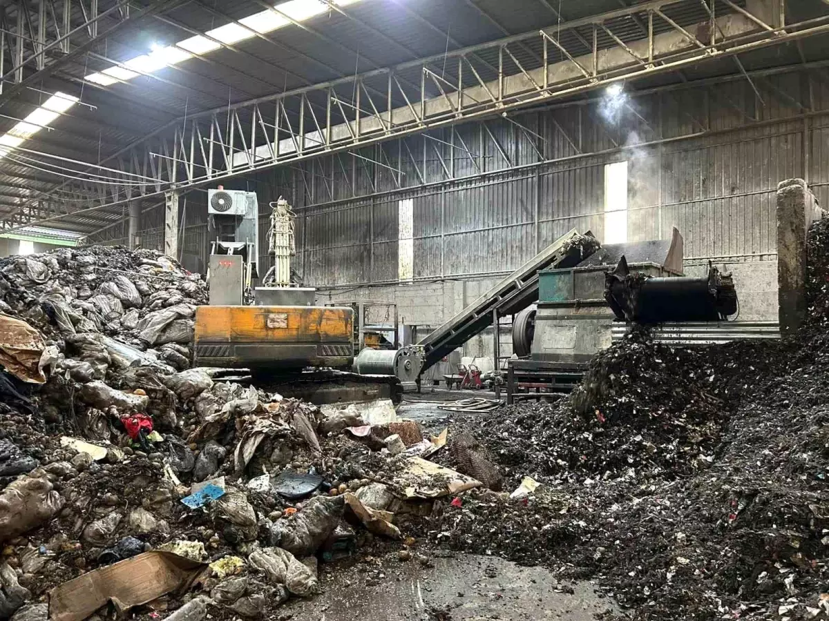 Mersin'de iade edilen patateslerin imha süreci başladı. Tarım ürünlerinde yaşanan