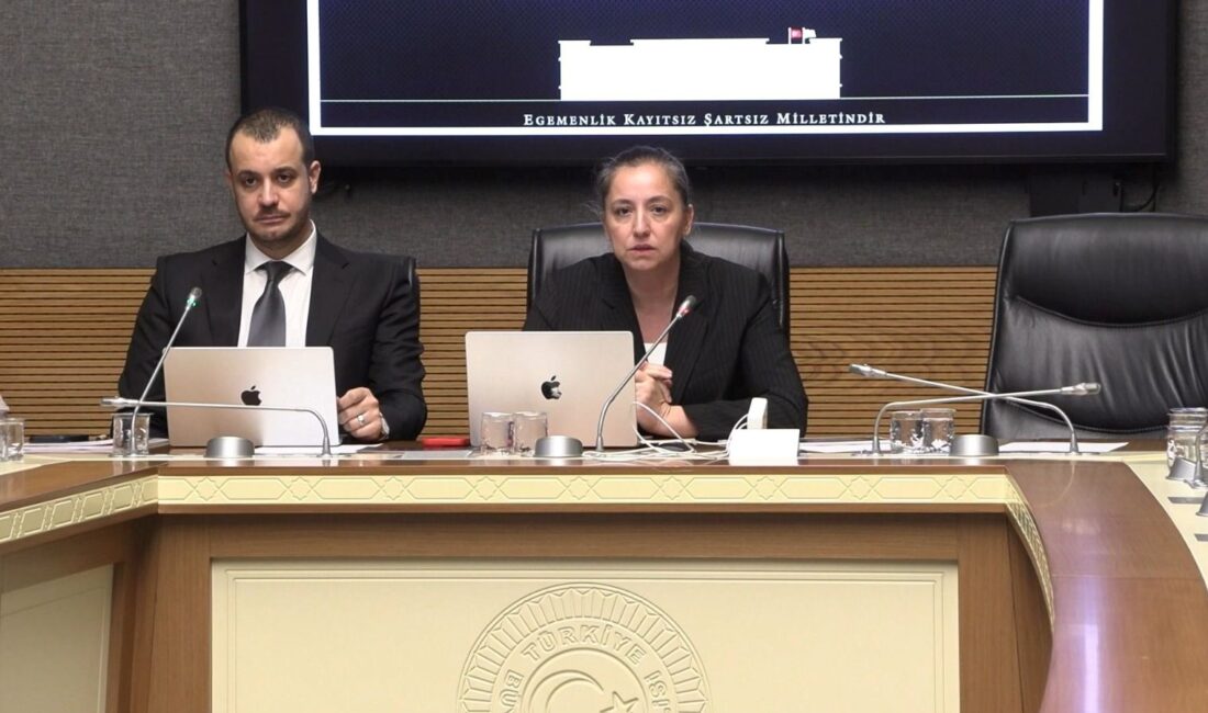 Netflix Türkiye temsilcileri, TBMM Dijital Mecralar Komisyonu'nda gerçekleştirdikleri sunumla, dijital