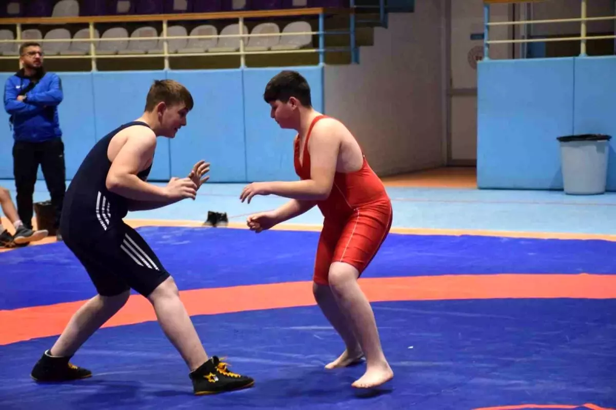 Okul Sporları Yıldız Erkekler Serbest Güreş Müsabakaları'nın sonuçları açıklandı. Genç