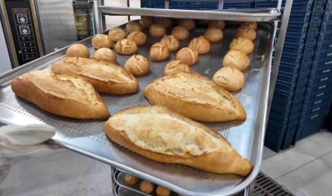Ordu'da Halk Ekmek Üretim Tesisi, yerel ekonomiyi güçlendirirken istihdam fırsatları