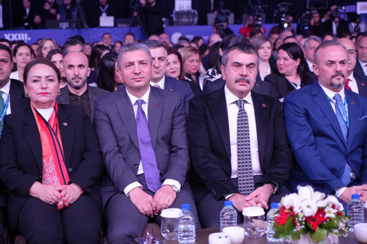 Uluslararası Örnekler ve Destek İhtiyacı