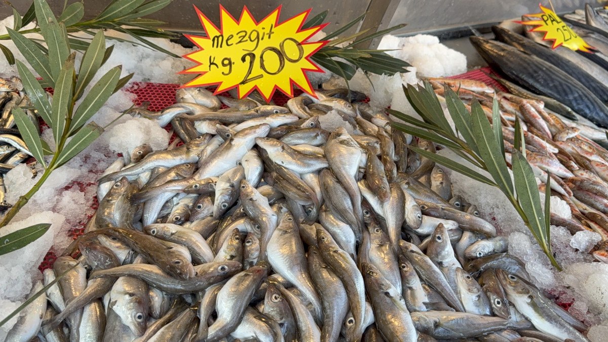 Palamut Tezgahlarda Yeniden Gözükmeye Başladı